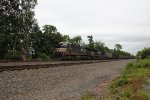 NS 4374 leading a string of coal empties